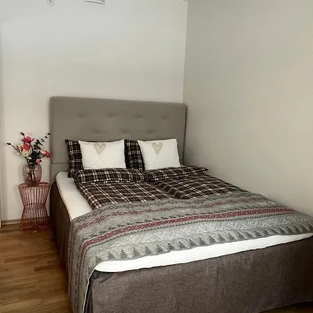 With One Big Bed And One Sofa Bed 公寓