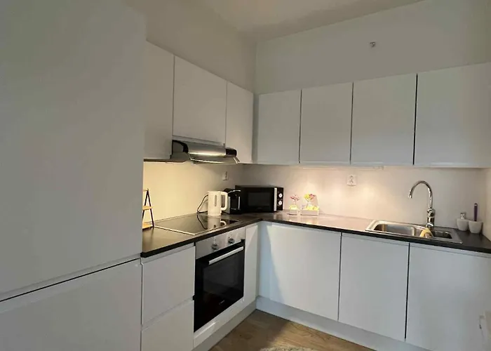 Appartement With A Double Bed And Sofa Bed Free Parking Trondheim